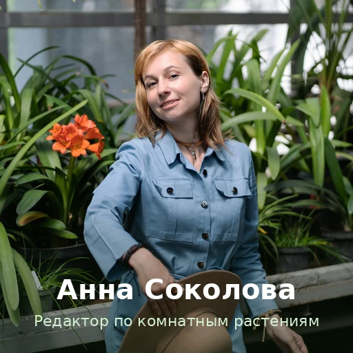 Фото: Анна Соколова