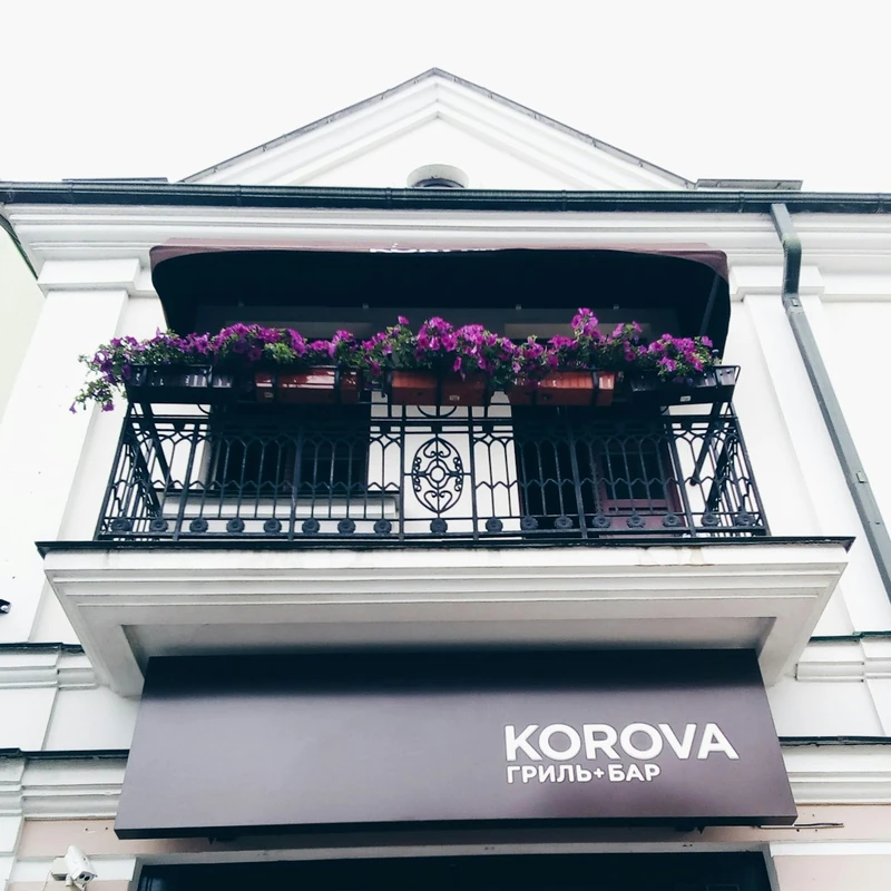 Колонна (yablonya_kolon): полное руководство по уходу