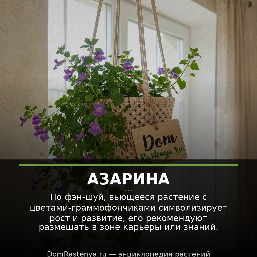 Азарина