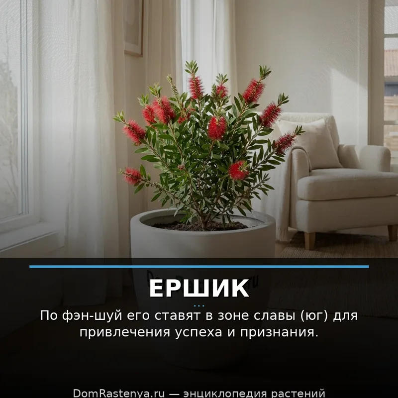 Ершик