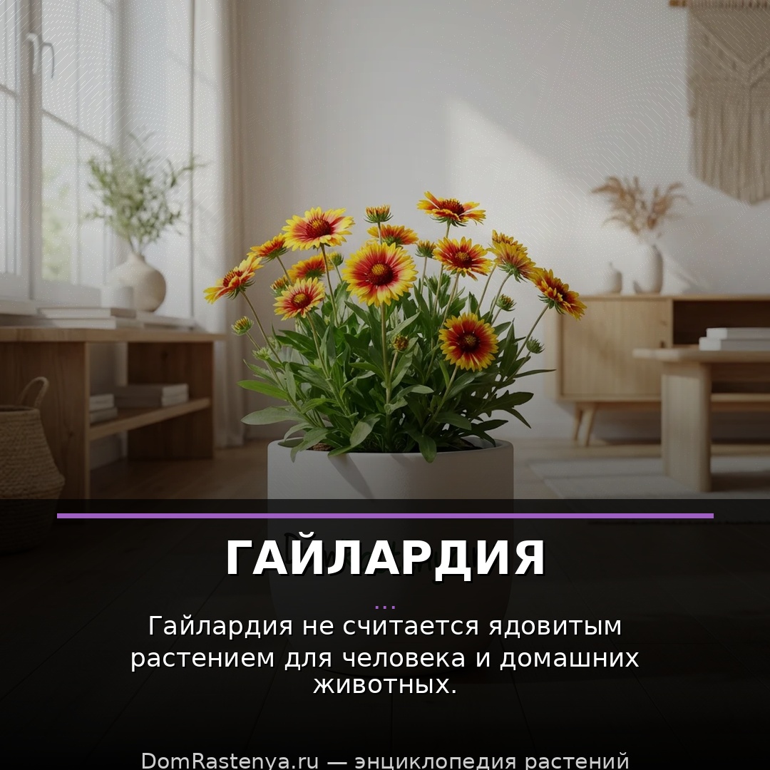 Гайлардия