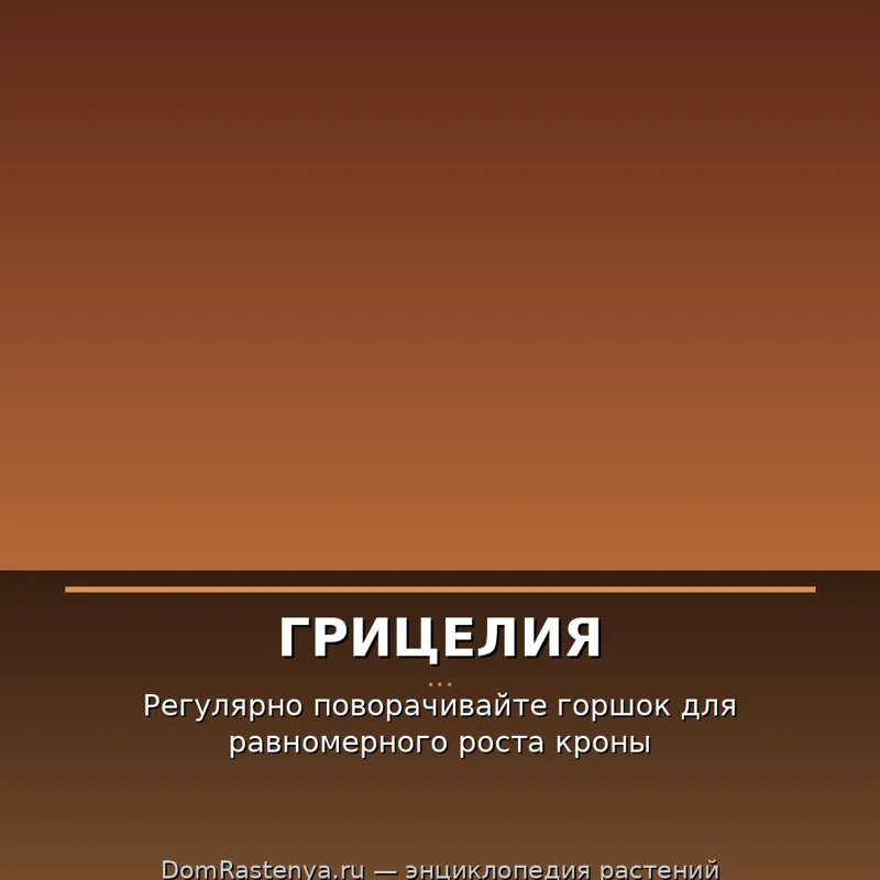 Грицелия