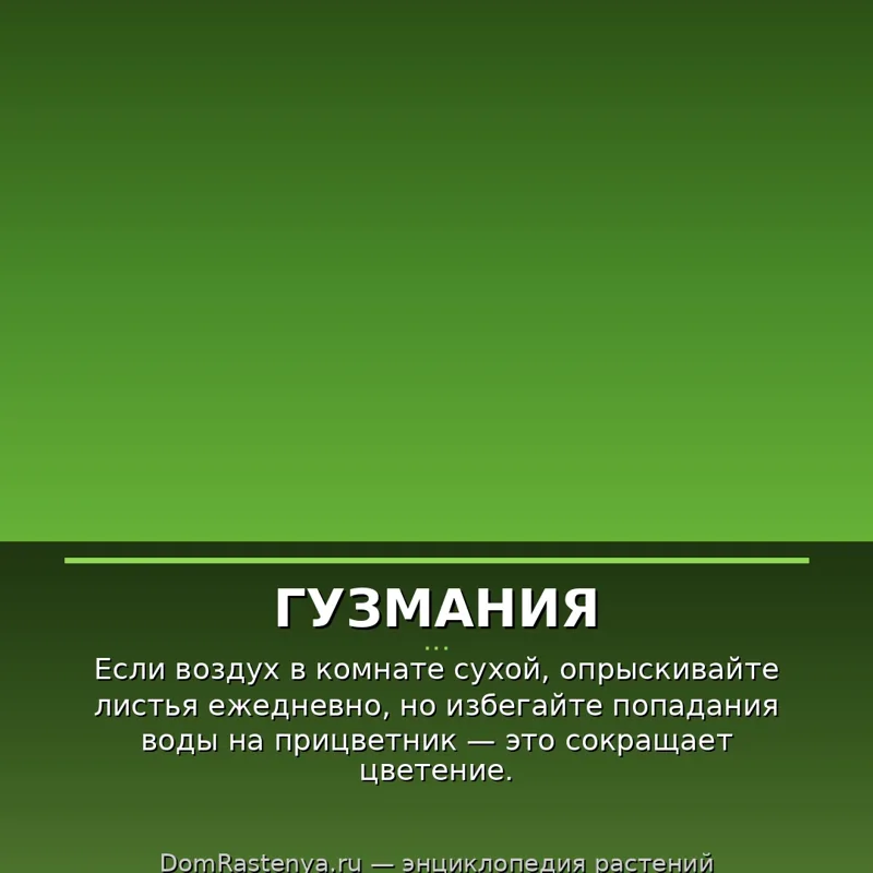Гузмания