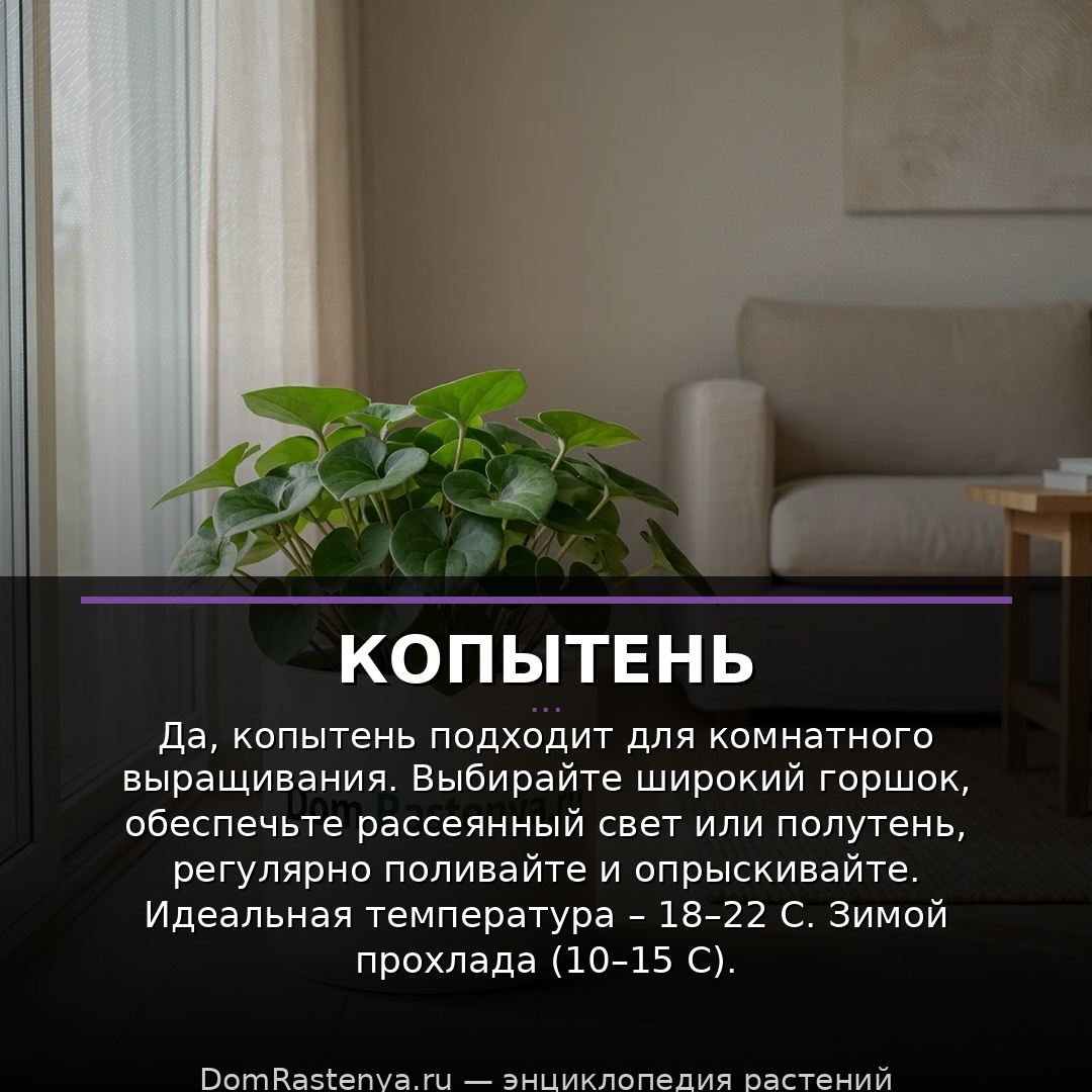 Копытень