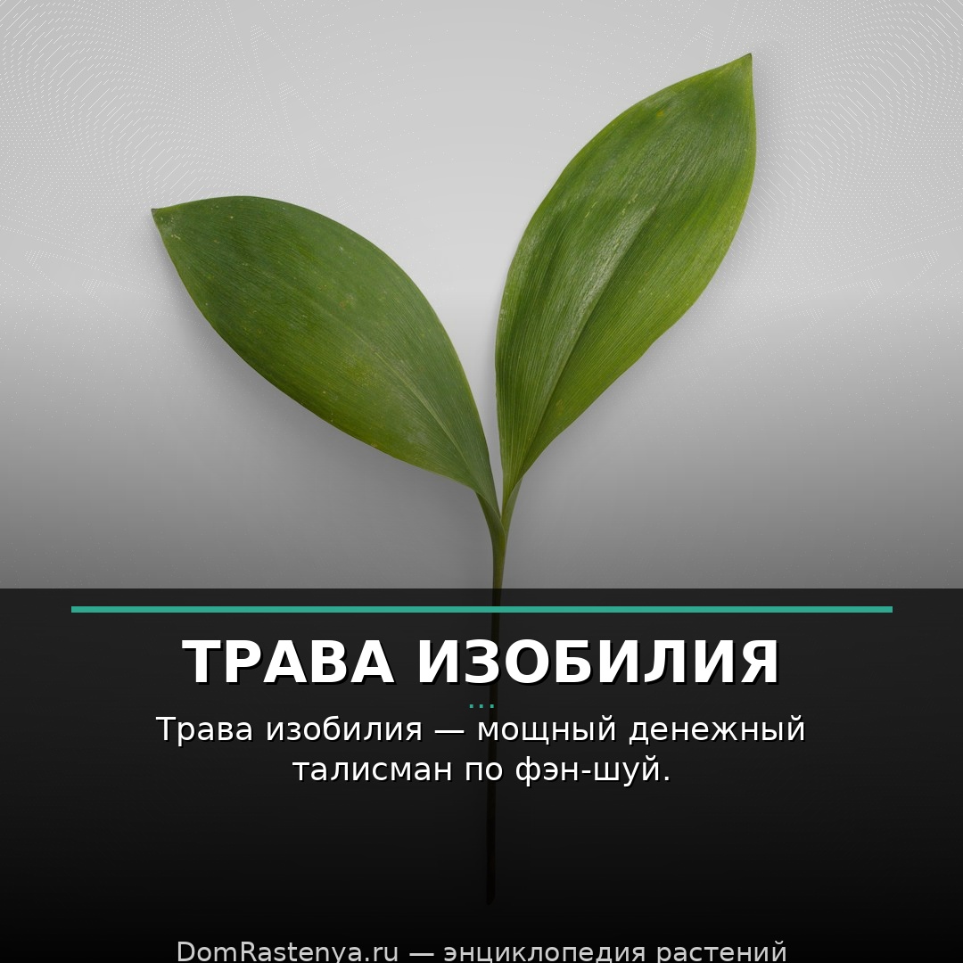Трава изобилия