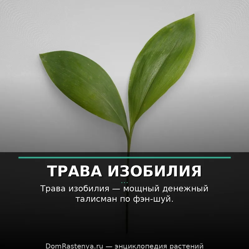 Трава изобилия